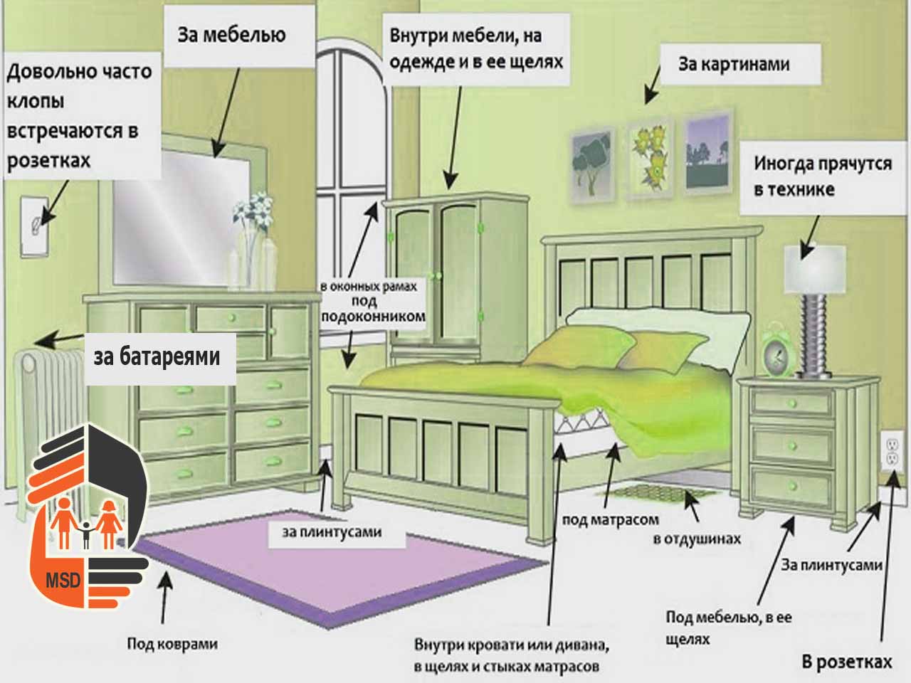 Как вывести клопов в домашних условиях из квартиры: эффективные способы, народные средства