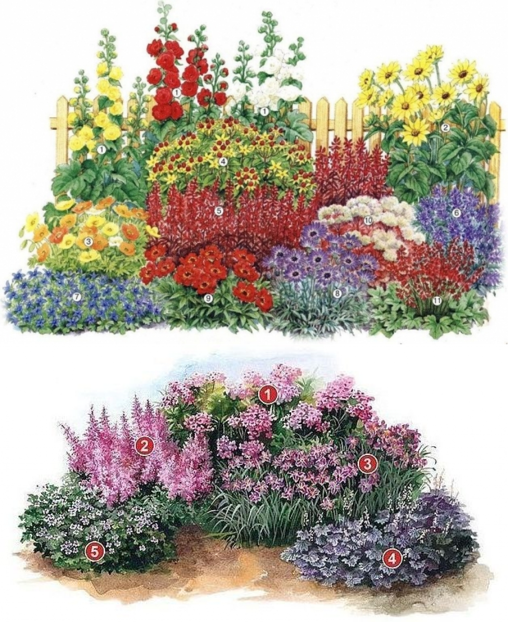 Красивые схемы клумб для дачи: виды цветников, особенности подбора растений