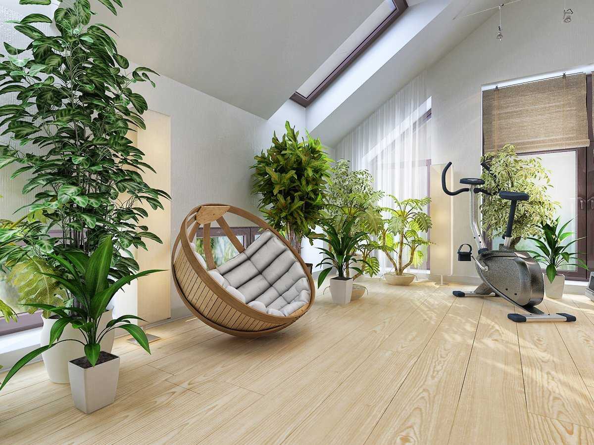 Декоративные растения для дома лучший способ оживить, украсить и подчеркнуть стиль комнаты Что следует знать, чтобы подобрать идеальные домашние цветы