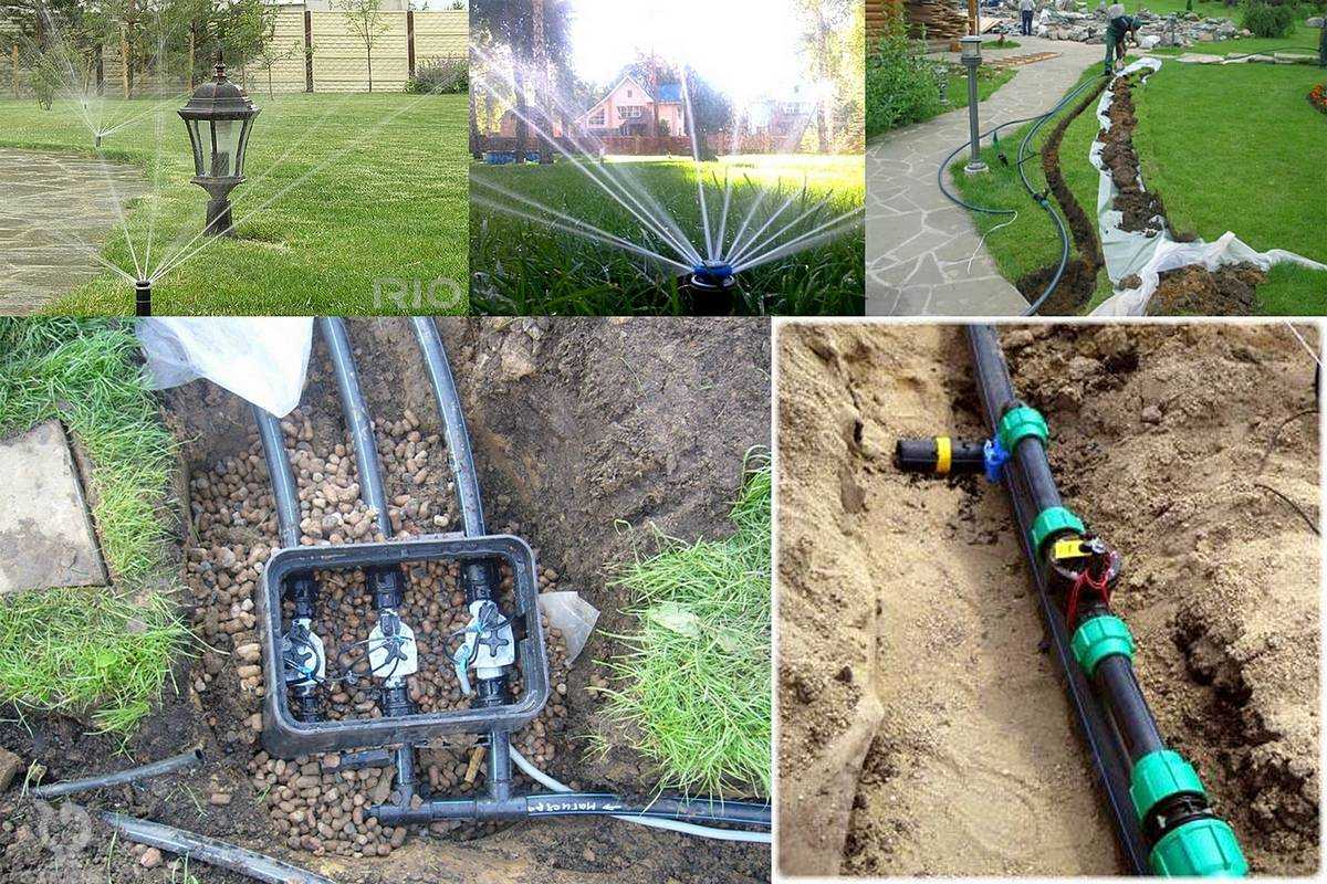 6 советов, как поливать газон: оборудование, частота, нормы | строительный блог вити петрова