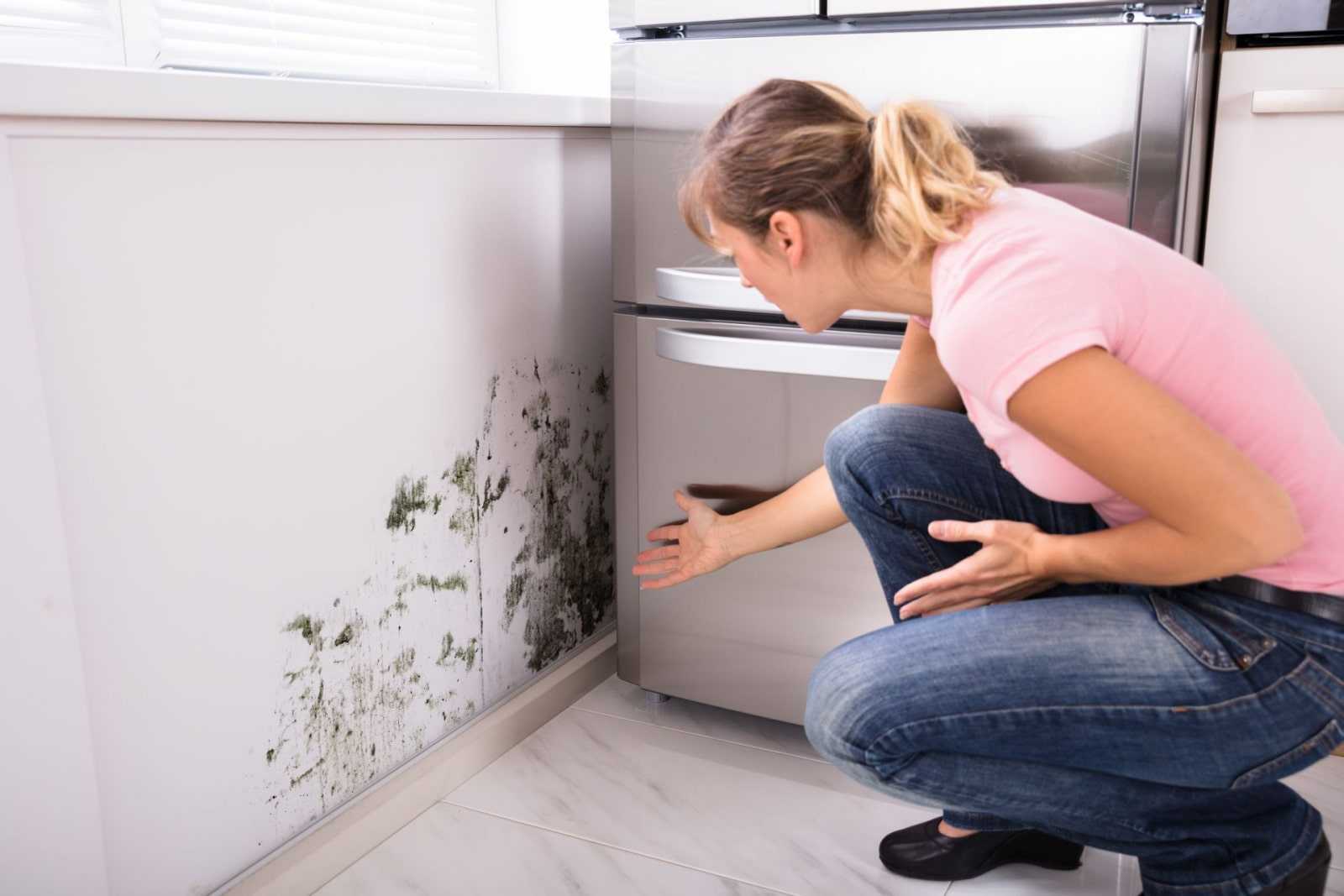 Сырость в доме: причины, последствия, как избавиться — вентиляция и кондиционирование