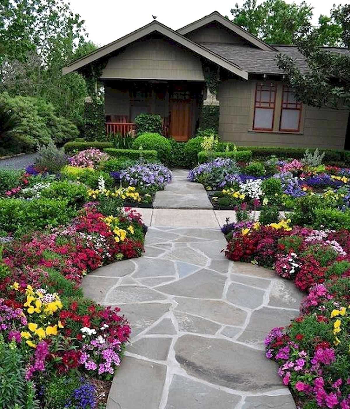 Декоративные растения: самые красивые цветы-многолетники для сада, неприхотливые долгоцветущие для дачи

 - 36 фото