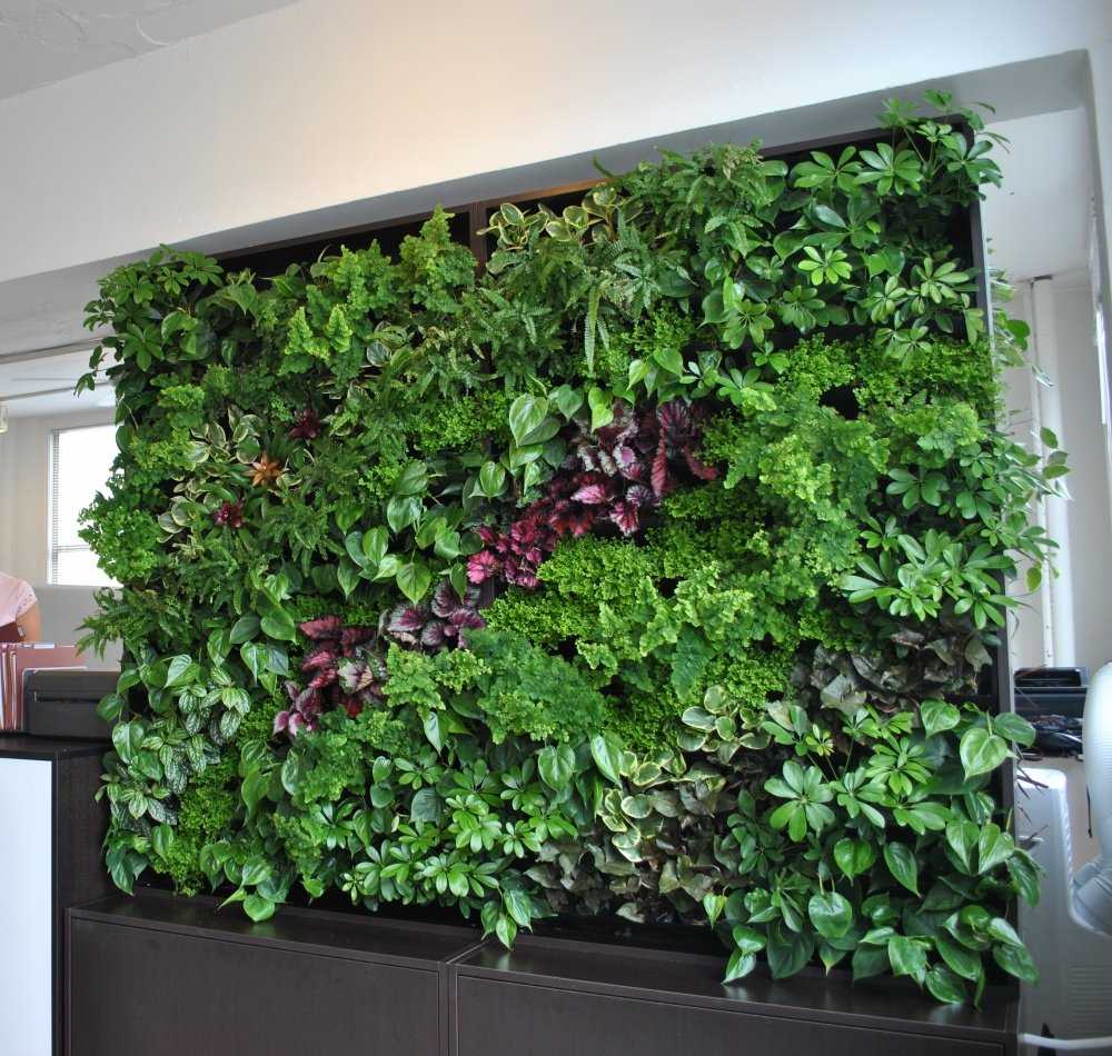 Зеленая стена из растений, искусственная трава в интерьере
 - 14 фото
