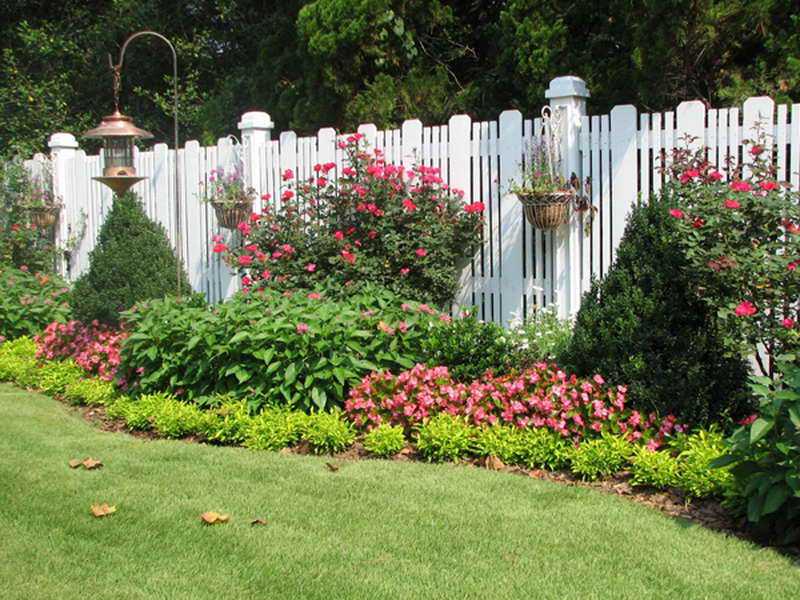 Красивый ландшафтный дизайн с циниями в саду — фото оформления клумбами