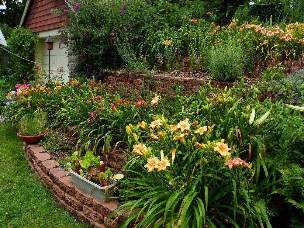 Цветы на даче: как красиво посадить, схемы посадки, ландшафтный дизайн перед домом, кустарники на клумбе
 - 34 фото