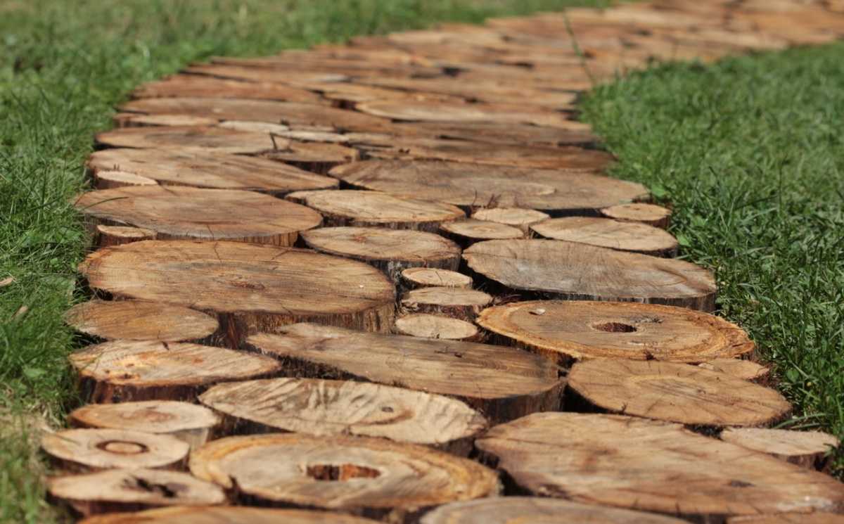 Деревянные садовые дорожки из спилов дерева на даче для коттеджа: как сделать из пеньков
 - 12 фото