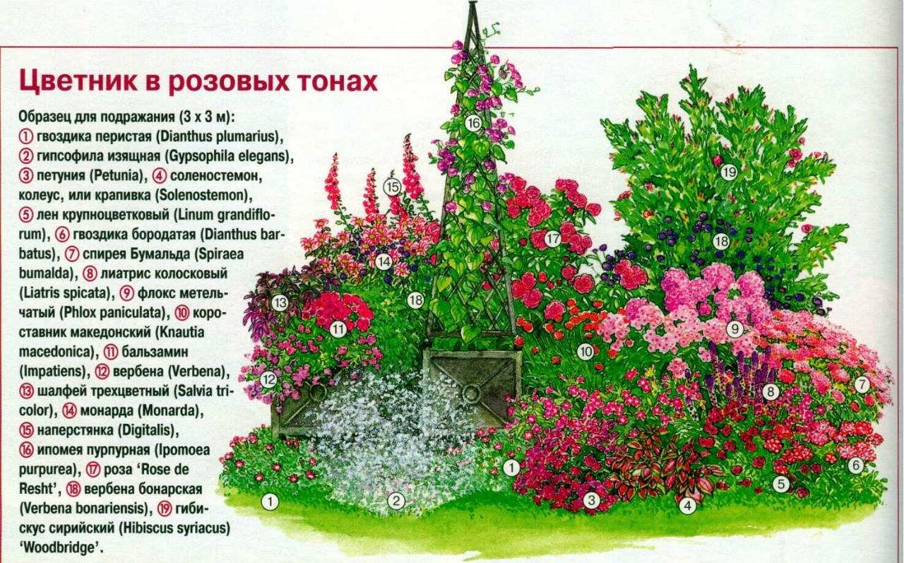 Клумбы из хвойников: схема посадки с названиями, дизайн перед домом с можжевельником, цветами, розами, камнями и туей
 - 27 фото