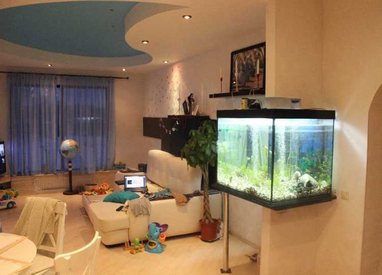 Куда поставить аквариум по фен шуй в квартире: советы и рекомендации