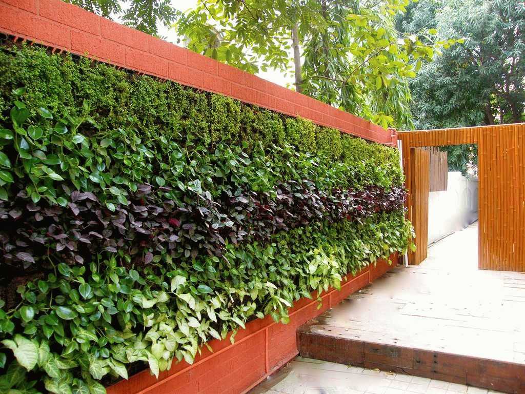 Используемые для озеленения растения — выбор и применение в дизайне садового ландшафта | мебельный журнал - все о мебели