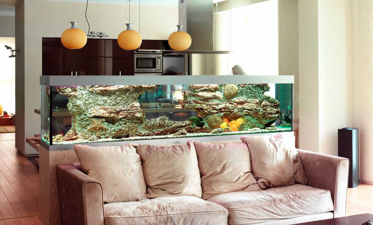 Как выбрать место в квартире для аквариума по фен-шуй?