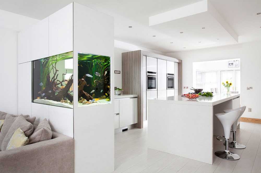 Перегородка с аквариумом - встроенные аквариумы и отдельный, фото