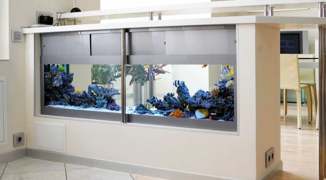 Встроенные аквариумы: разновидности и рекомендации по оформлению