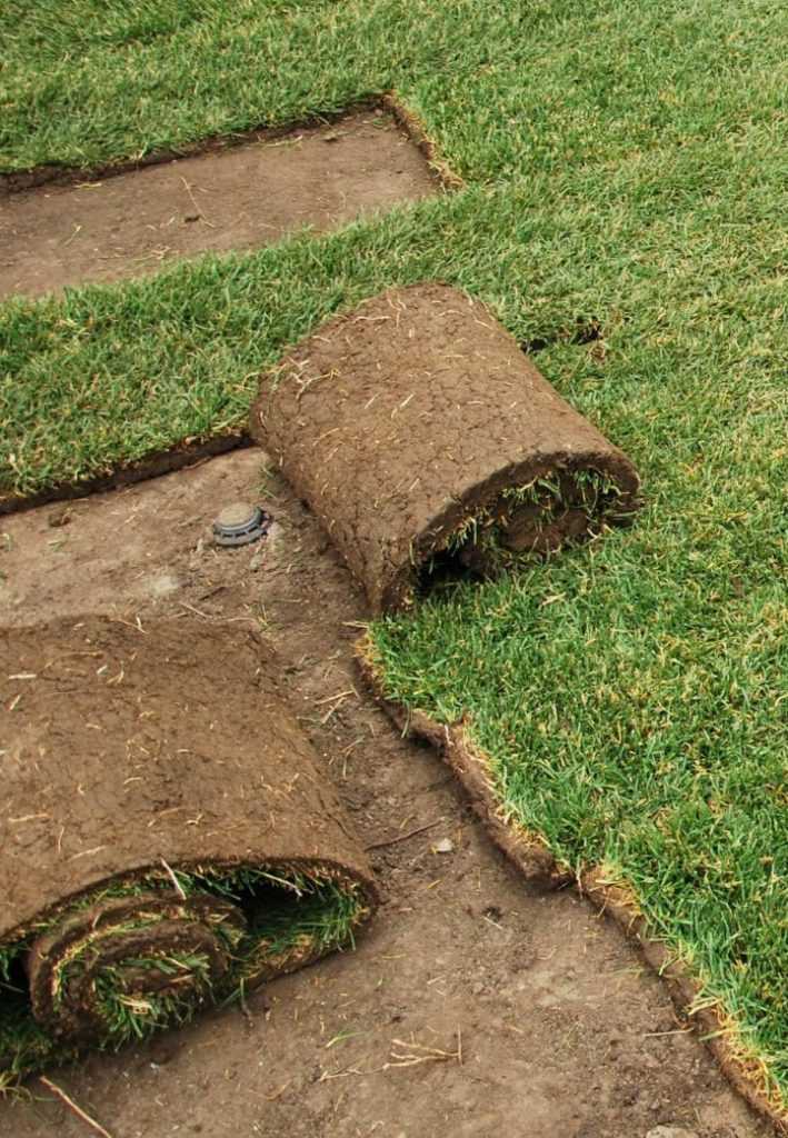 Рулонный газон и технология его укладки своими руками. как правильно уложить рулонный газон как стелить рулонный газон - мой дом