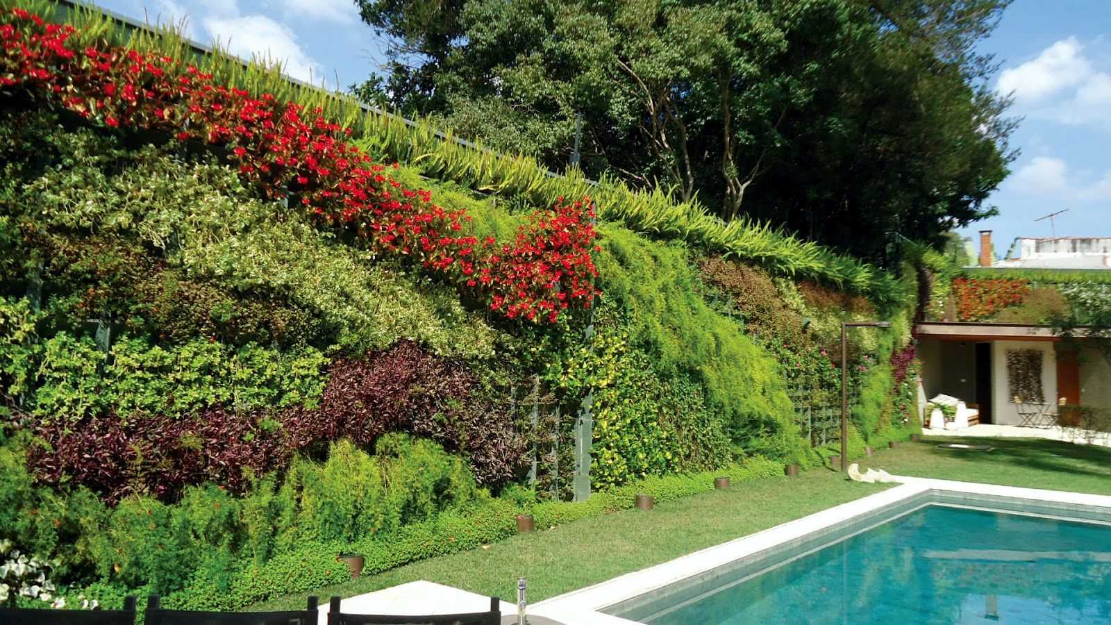 Вертикальное озеленение дачи и сада: стили, растения, идеи, фото