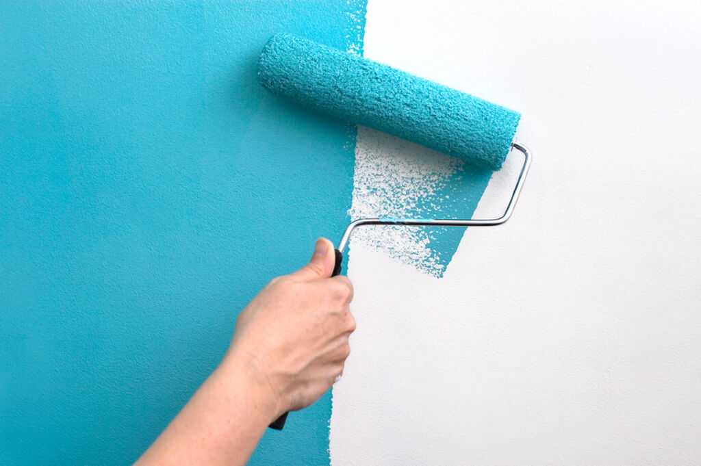 В какой цвет покрасить стены: советы по выбору краски и подготовке поверхности
