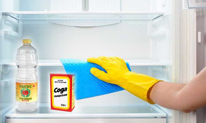 Средства для очистки холодильника: методы и правила ухода