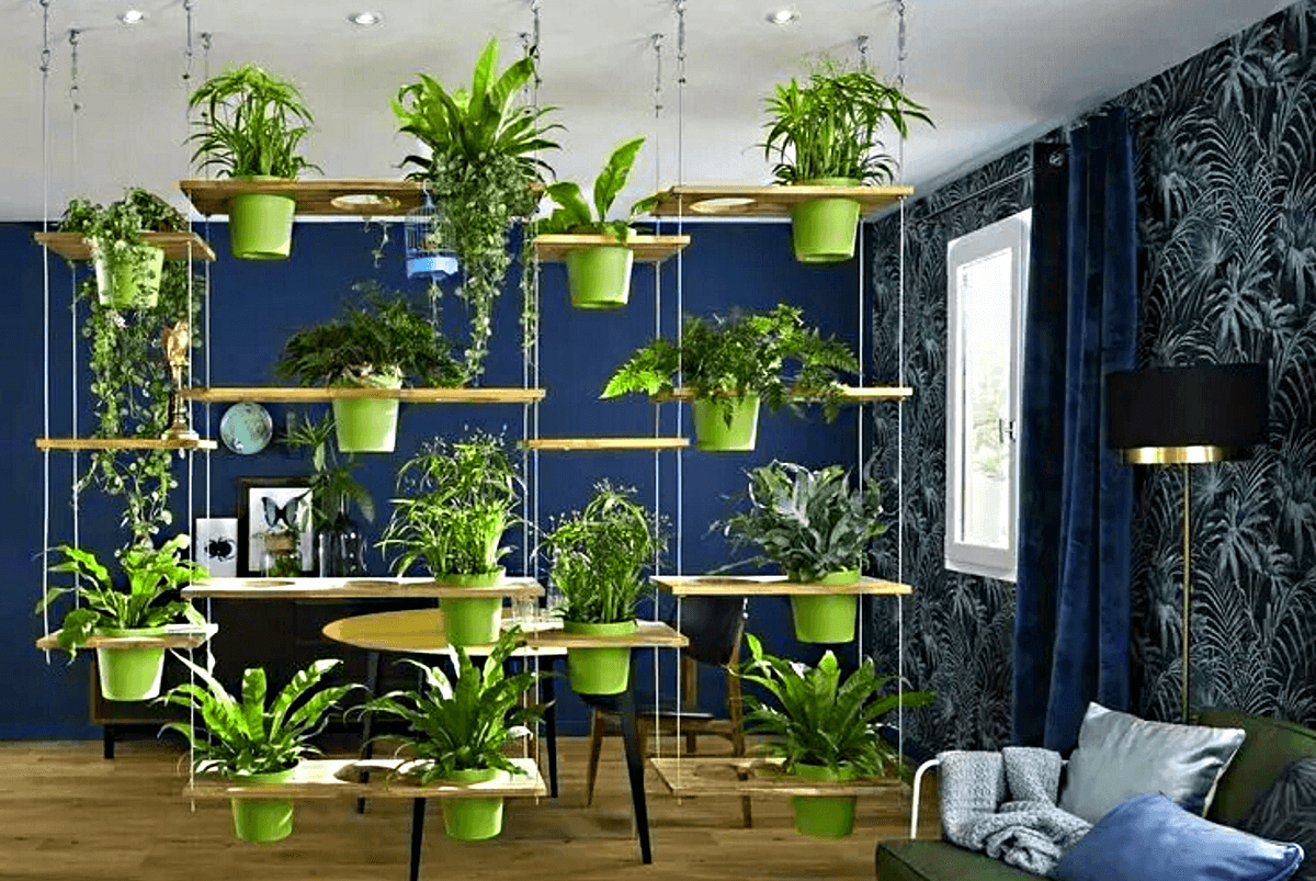 Топ-12 лучших комнатных растений – рейтинг 2021 года