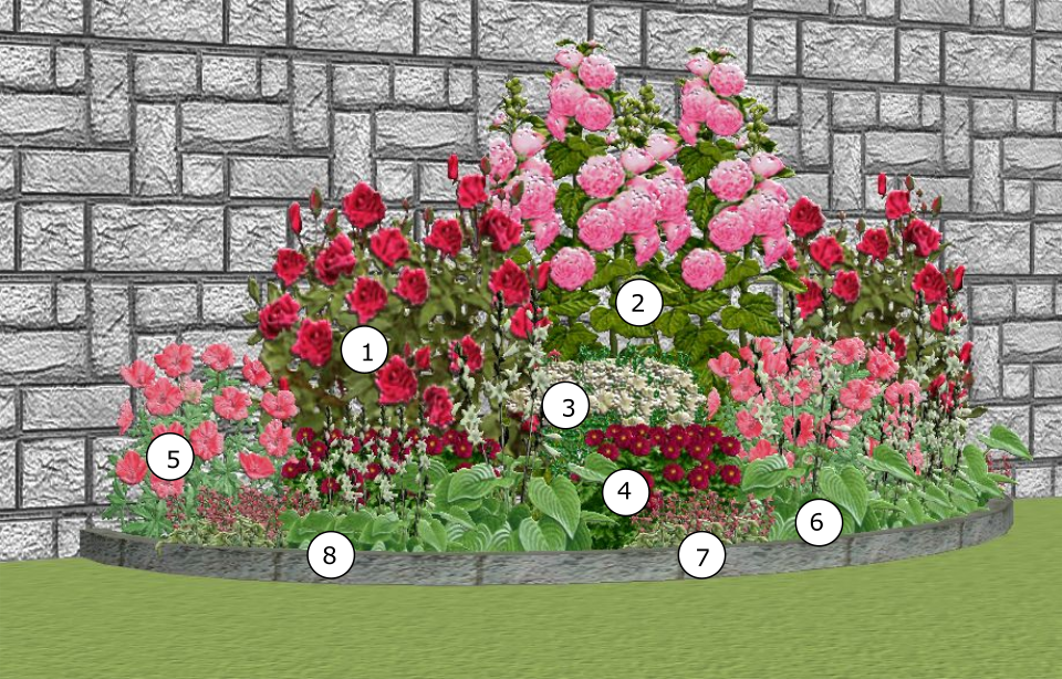 Розарий на даче: как посадить розы красиво, фото дачников