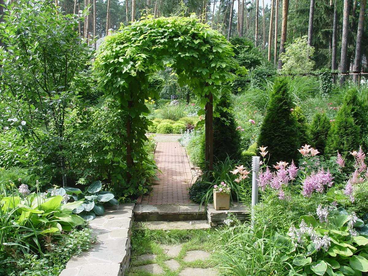 Ландшафтный дизайн и озеленение: «натургарден» или «сад для лентяев»экосад - своими руками на даче  - как посеять, сажать, ухаживать за растениями и цветами