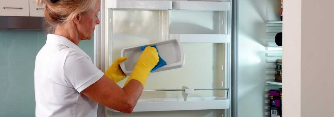 Чем отмыть холодильник внутри: эффективные средства