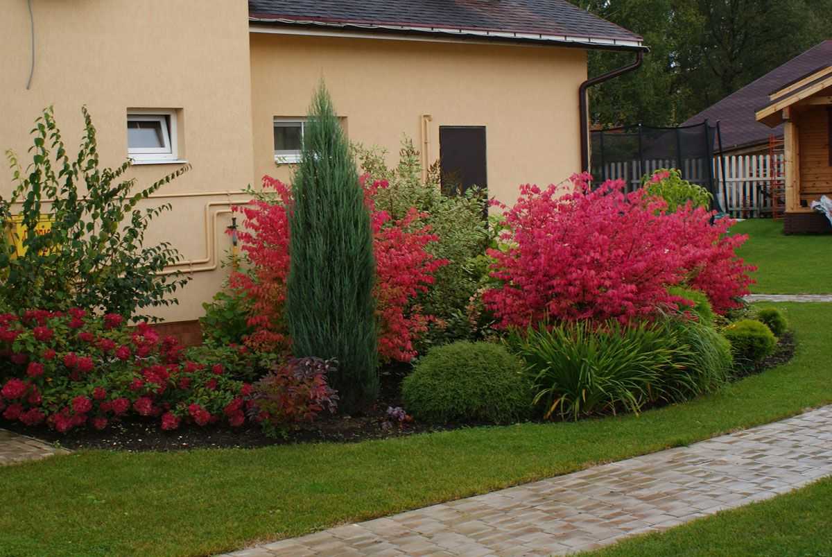 Цинии в саду: фото, оформление клумб с цветами-дюймовочками в ландшафтном дизайне