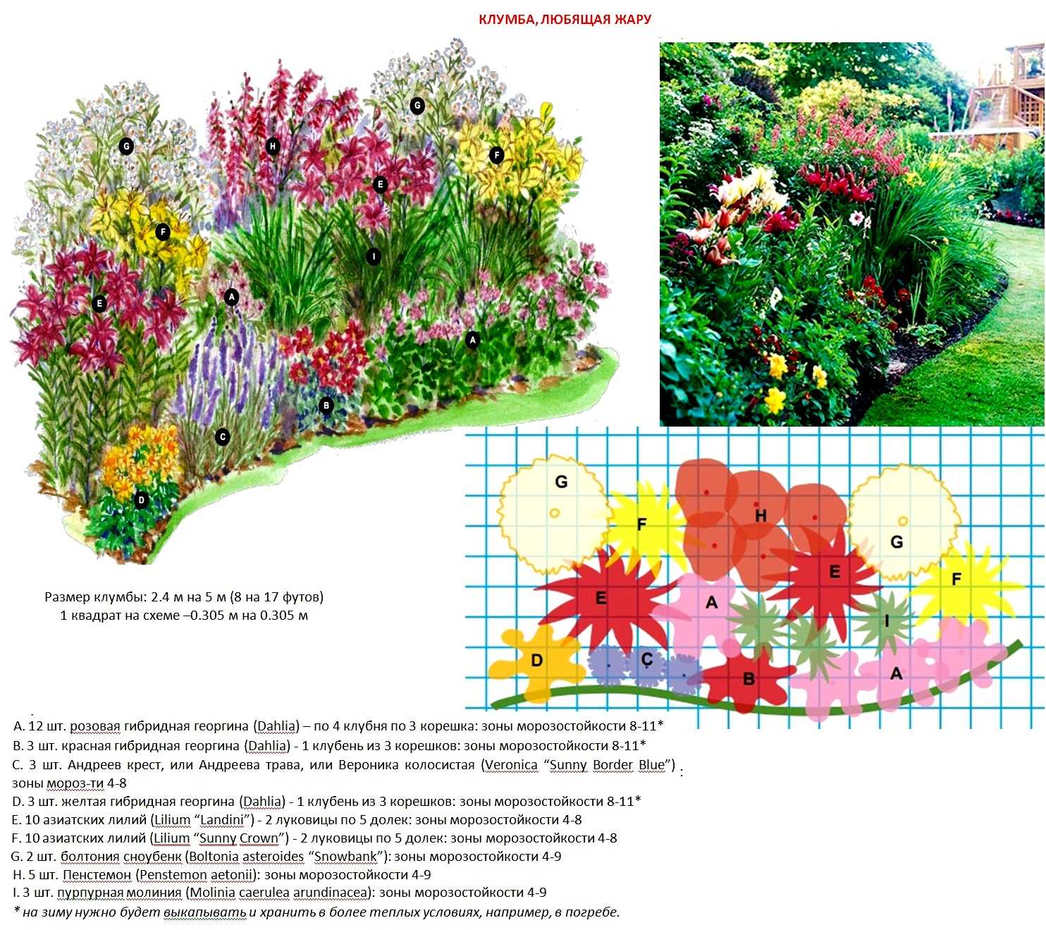 Цветы для клумбы: фото, названия растений, схема, совместимость однолетних и многолетних цветов, сочетание из кустарников | qlumba.com