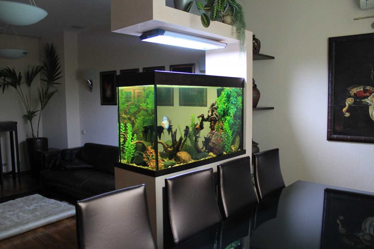 Встроенный аквариум (в стену, пол, мебель) - 40 фото примеров
