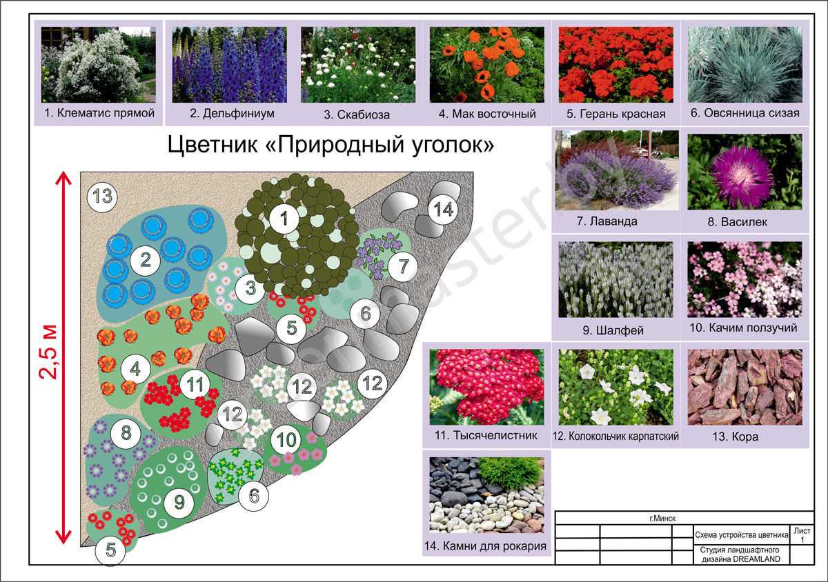 Растения для ландшафтного дизайна: виды, особенности посадки и ухода