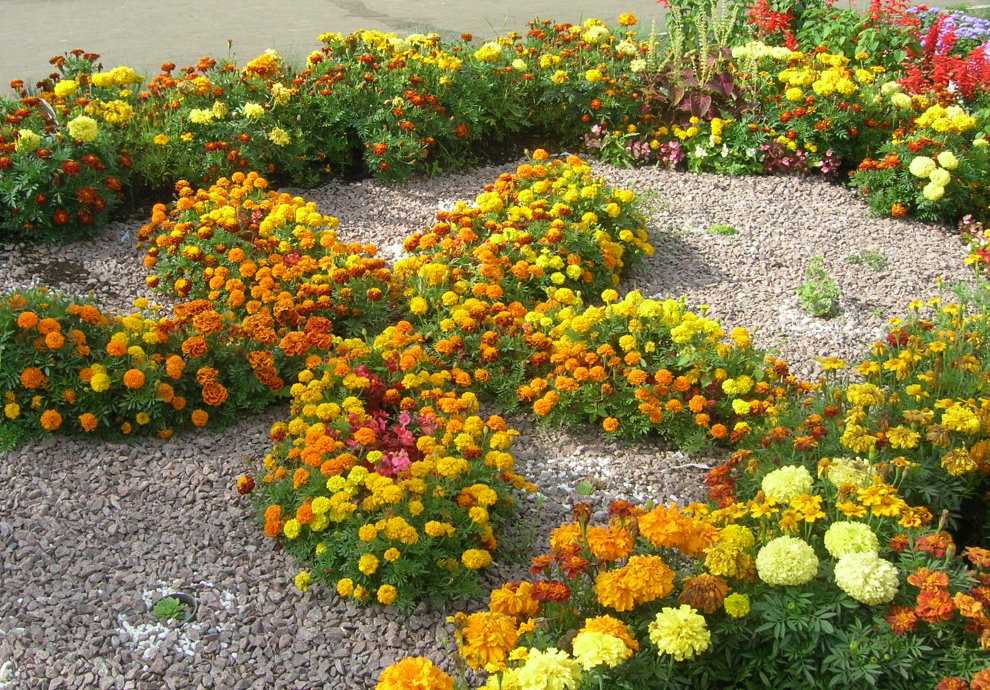 Рабатка: схема, фото в ландшафтном дизайне, подбор растений для цветов вдоль дорожки, как сделать своими руками из многолетников  | qlumba.com