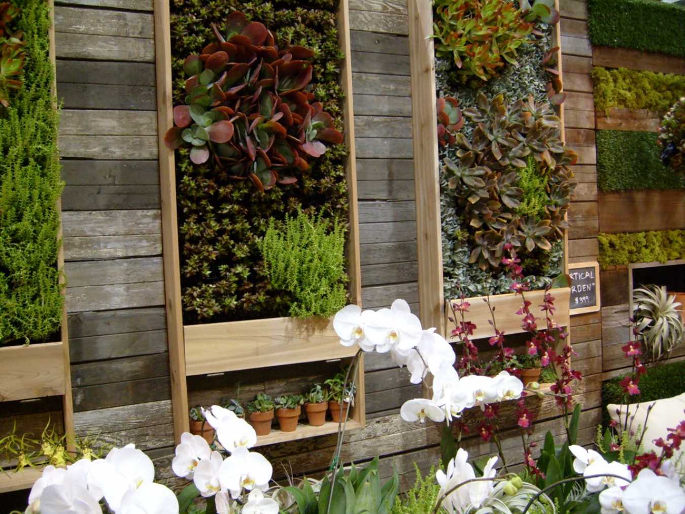 Как использовать вертикальное озеленение в ландшафтном дизайне - сад и клумба