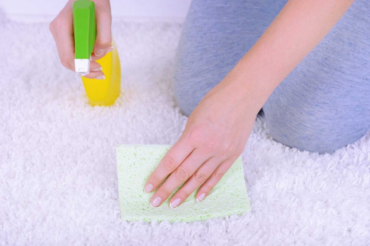 Как почистить ковер в домашних условиях быстро и эффективно – способы