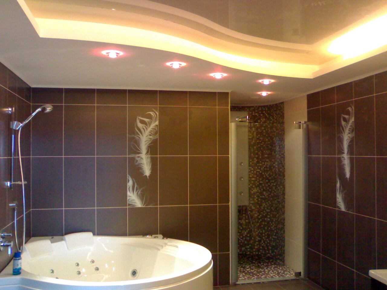 Как выбрать лучший вариант для потолка в ванной: обзор материалов и способов отделки, их плюсы и минусы