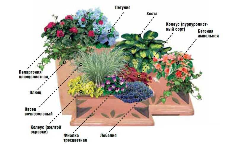 Как красиво посадить цветы в палисаднике перед домом: идеи для ландшафтного дизайна
 - 46 фото