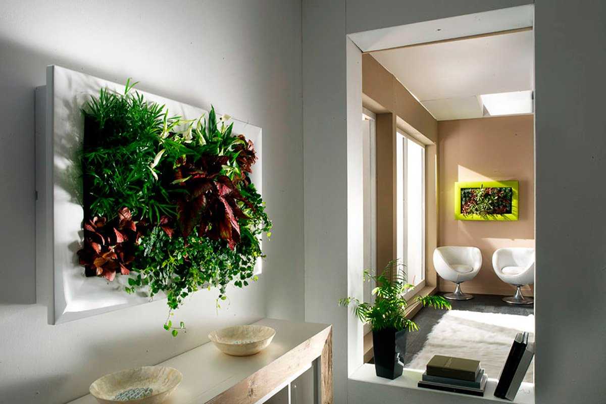 Самые неприхотливые комнатные растения с фото и кратким описанием