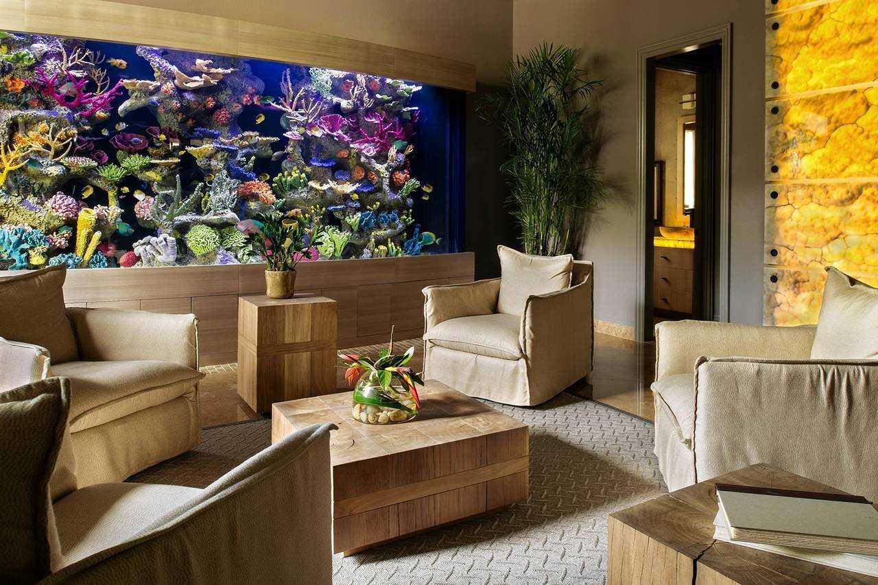 5 идей куда поставить аквариум в маленькой квартире